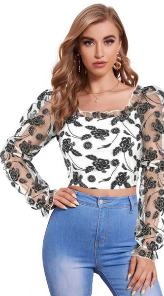 Mayawye Women's Polyester Solid Full Sleeves Square Collar Top (White)