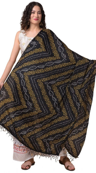 Mayawye Women's Chanderi Printed Dupatta (Multicolor, Length: 2.25 to 2.50 Mtr)