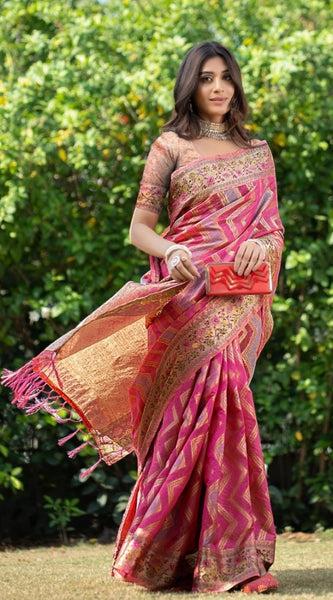 Mayawye Women's Organza Printed Saree With Unstitched Blouse (Pink, 5-6 Mtrs)